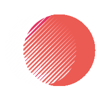 WiederFit